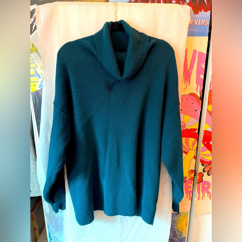 teal turtle neck sweater. SIZE:M(fits nicely as size large too)BRAND:FREE PEOPLE